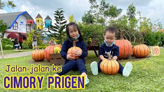 Batu Secret Zoo | Pohon Inn Hotel | Jatim Park 2