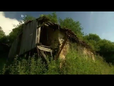 Video: Nega kupusa tokom njegovog uzgoja