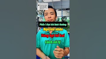 Phần 1 Nguyên nhân hiện tượng váng bọt hồ cá koi - Cách xử lý từng trường hợp #shorts #kingkoifarm