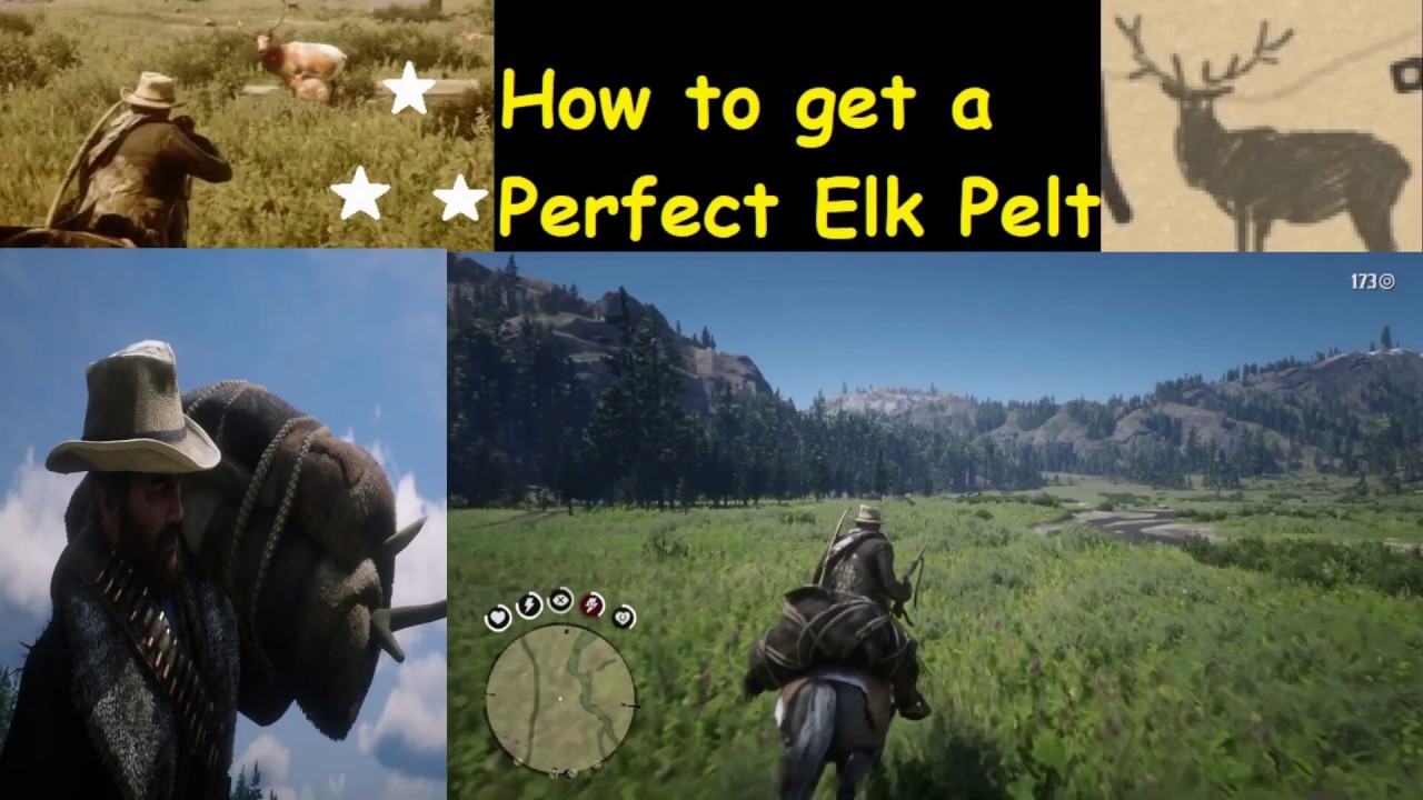 jug dine tjenestemænd RDR2 How to get a perfect Elk Pelt - YouTube