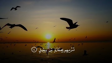 Surah Al-fiil |سورة الفيل| Syekh Al-walid As-syamsan |الشيخ الوليد الشمسان|