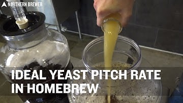 Ideal Yeast Pitch Rate for Homebrew