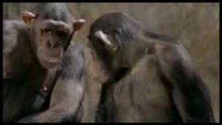 COSMOTE: Multi campaign - TV spot