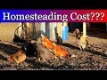 What did it cost to run our Homestead in 2018?