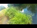 Съемка речных рыб экшн-камерой