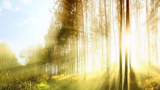 Happy Easter! Join us for worship this morning! April 17th