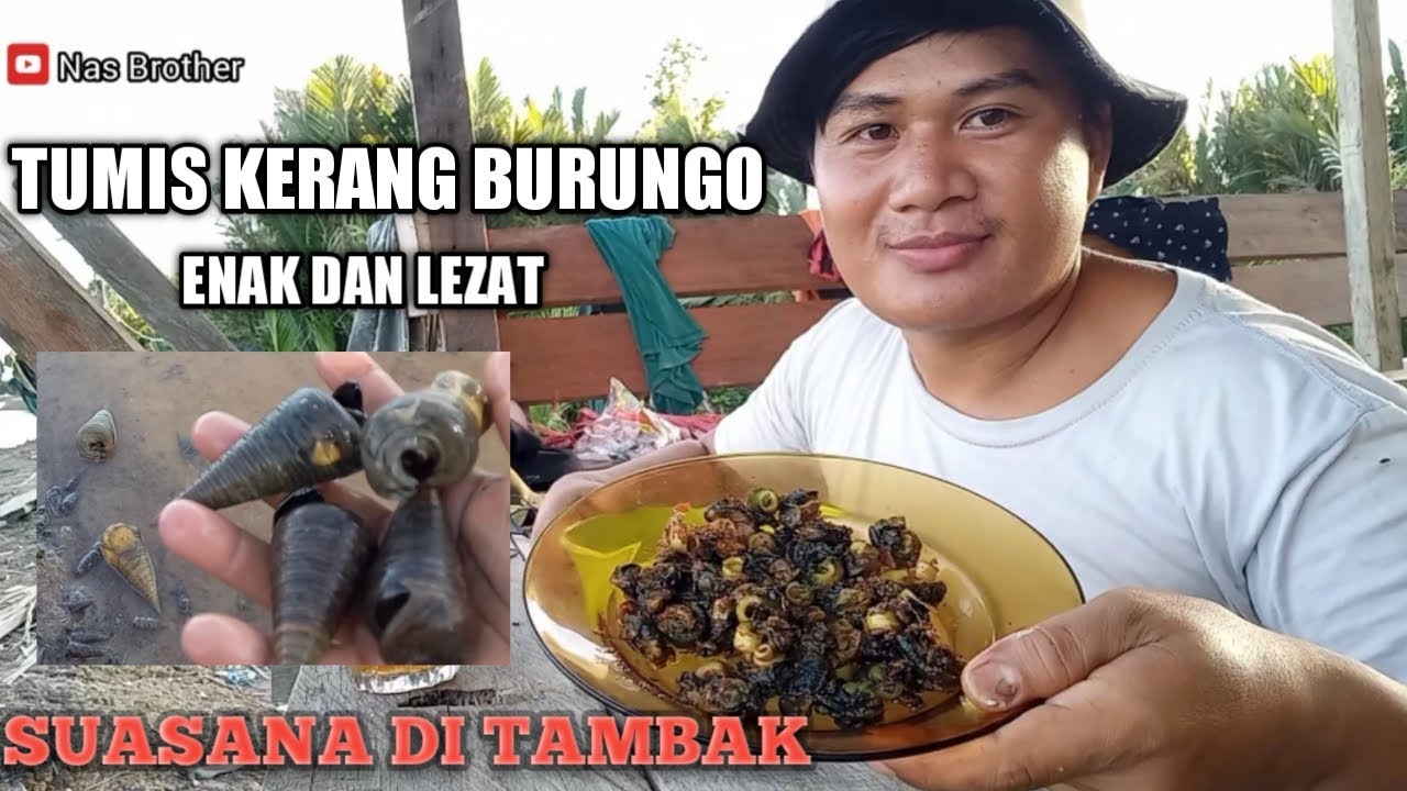 Tumis kerang bakau atau burungo enak dan lezat || SUASANA DI TAMBAK ...