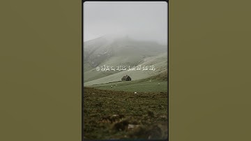 تلاوة خاشعة//بصوت القارئ إسلام صبحي |صوت يريح النفس 😌🎧❤️🥀🌿