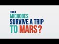 We Asked a NASA Scientist: Could Microbes Survive a Trip to Mars?