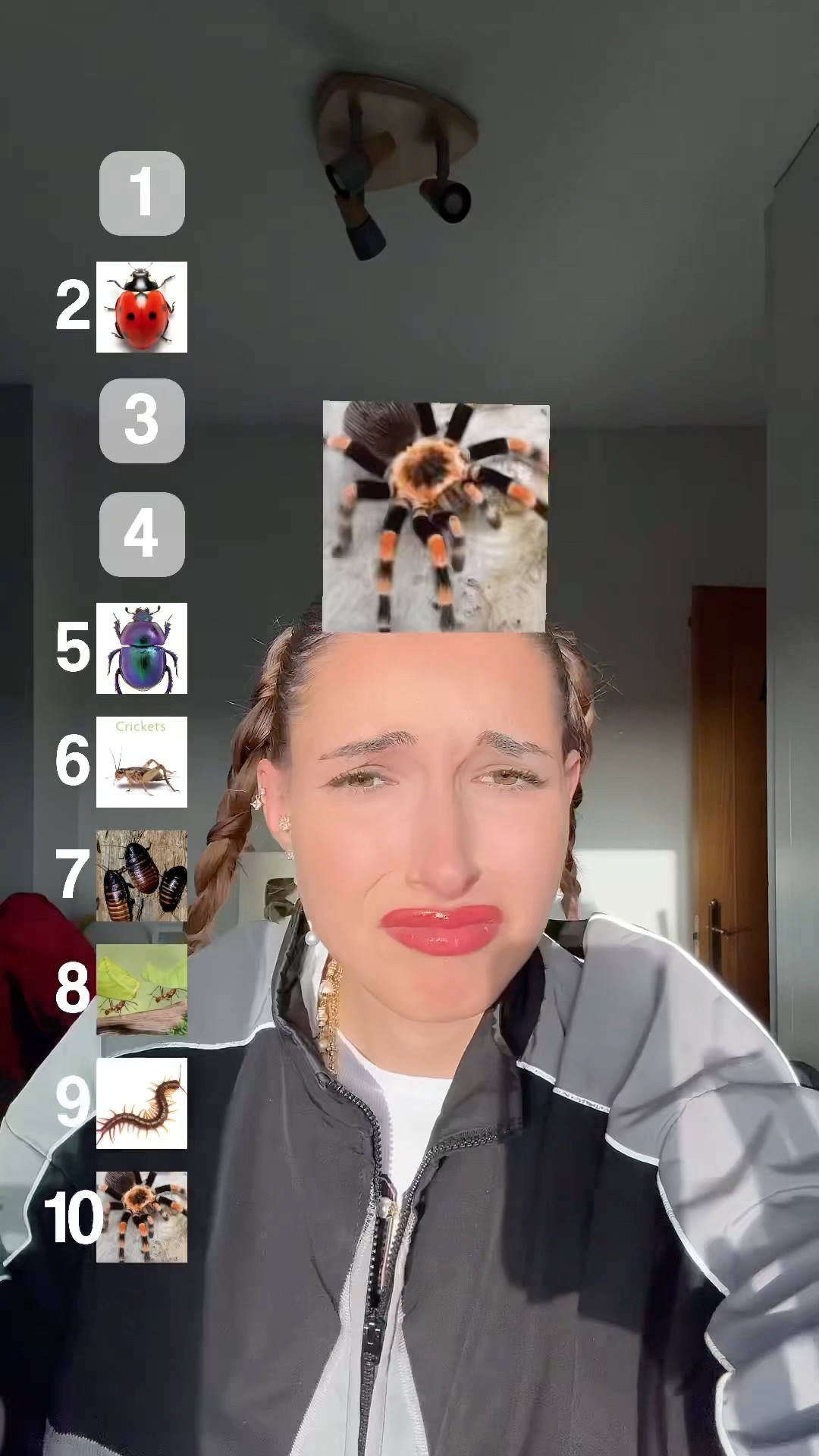 Cuál os gusta menos??
