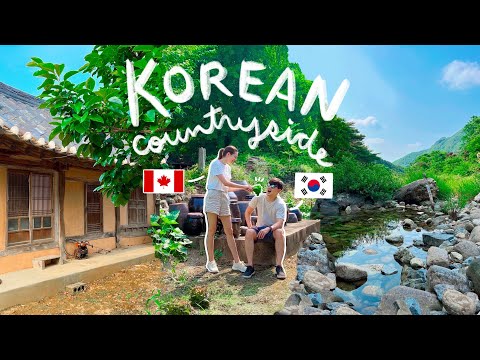 Video: Residence modernă rurală din Coreea de Sud: nodul viu
