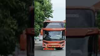 Ngoyod Bus Basuri Corong Atas busbasuri automobile mobilbasuri busviral busmania busartis