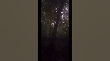 ارح قلبك🤍🤍🤍ماتيسر من سورة الانبياء للقارئ @islam_sobhi