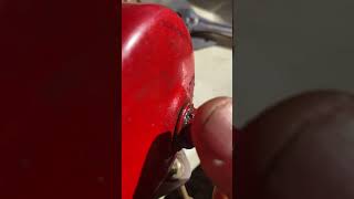 IMG 1858