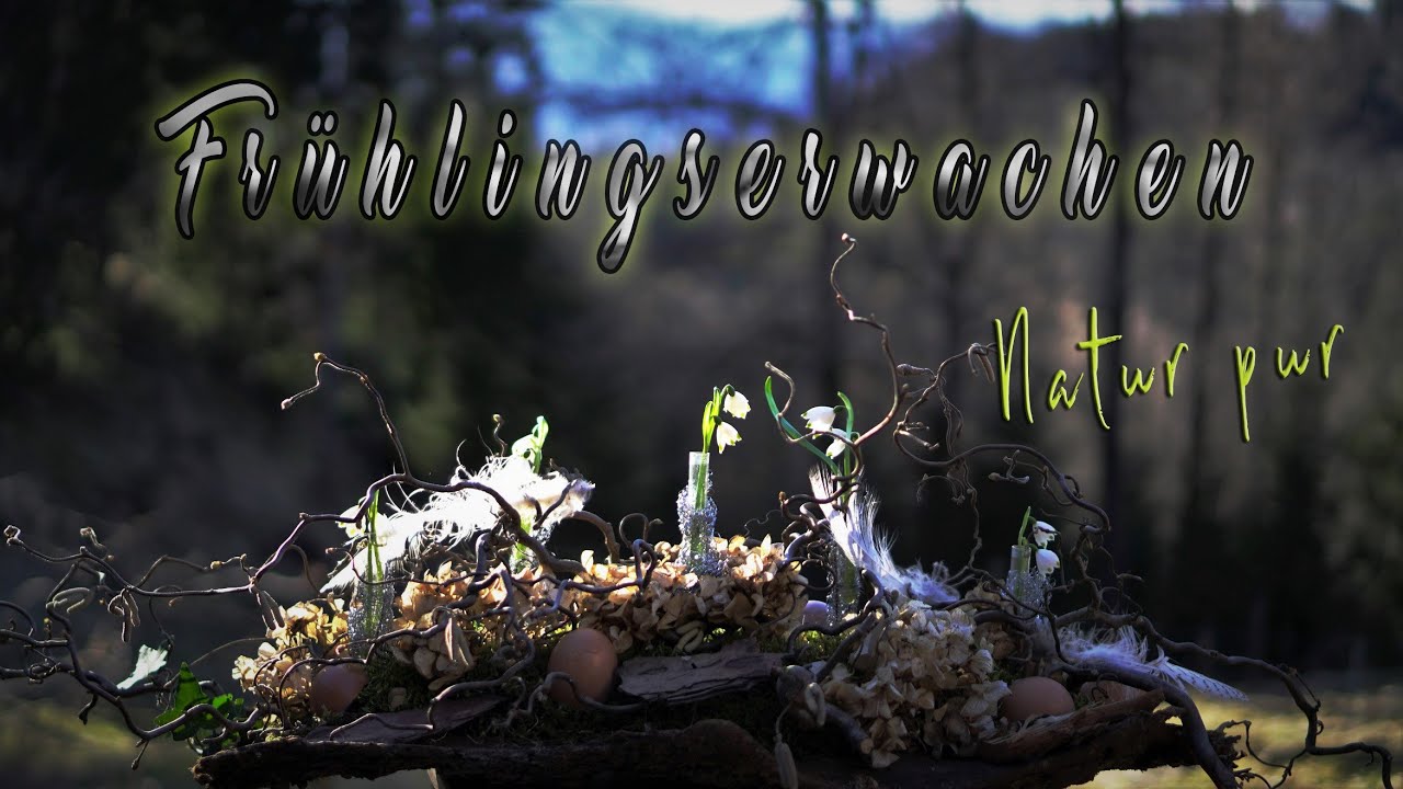 NATUR DEKO Ideen 🍃  