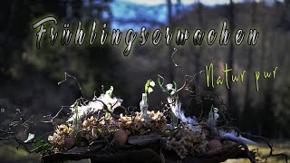 NATUR DEKO Ideen 🍃  "Frühlingserwachen" Oster & Frühlings Home Deco DIY screenshot 3
