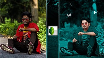 New Snapseed Preset Photo Editing Trick 🔥 | Snapseed Background Colour Change Editing 2020