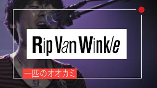 Rip Van Winkle - 一匹のオオカミ (Live @ The Boxx Shanghai)