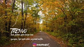 Story WA 30 detik-lagu tresno ra bakal ilang