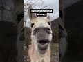 Couldn’t resist this one