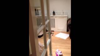 Preetis New Obsession Singing Along To Ed Sheeran Much To My Joy She Thinks Shes A Good Singe