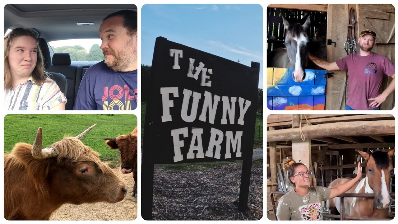 A Funny little trip! (Funny Farm and Shed Chuckey, Tennessee 2022