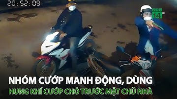 Nhóm c.ư.ớ.p manh động, dùng h.u.ng k.h.í c.ư.ớ.p chó trước mặt chủ nhà | VTC14