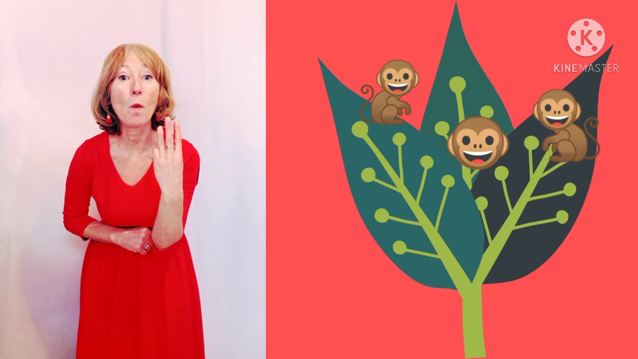 🐒🐒🐒🐒🐒 Fünf Affen sitzen auf einem Baum/Lustige Kinderreime und Fingerspiele zur Sprachförderung