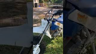 87 Honda Fat Cat 4 Sale