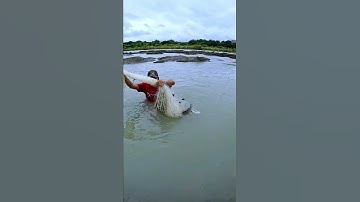 Detik detik Menegangkan Jala ikan Dapat ikan Besar #shorts #jalaikan #netfishing