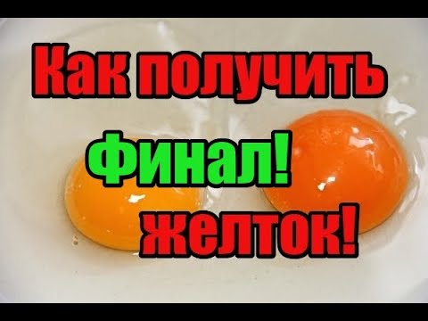 Итоги получения желтого желтка! Как получить оранжевый желток! Как сделать яркий желток! Куда пропал