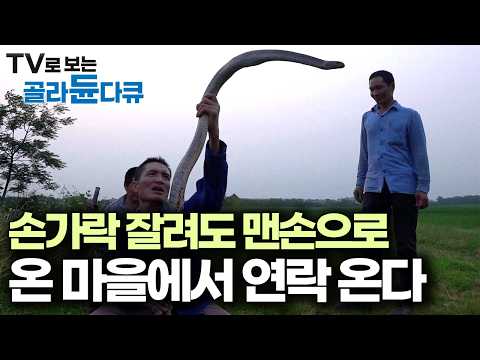 Snake hunters who lost a finger catching venomous snakes with their bare hands, but still go on d...