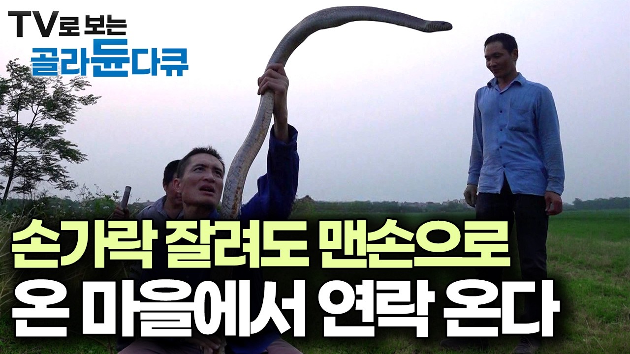 맨몸으로 맹독 뱀을 잡다가 손가락까지 절단했는데, 장갑도 안 끼고 위험천만 뱀사냥에 나서는 땅꾼들|극한직업|#골라듄다큐