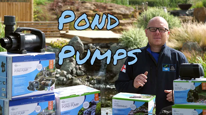 Which Pond Pump? (pond advisor video)
