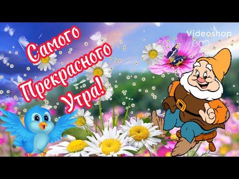 Желаю Самого Прекрасного, Доброго, Солнечного Утра🌸Хорошего Дня И Отличного Настроения🌸Пожелание