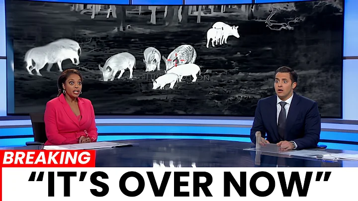 Everyone Laughed at Texas’ Wild Boar Problem — Their Solution Might Shock Everyone