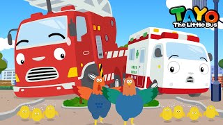 Free From the Coop! | Tayo Animal Rescue Team | Rescue Team Episodes | Tayo the Little Bus
