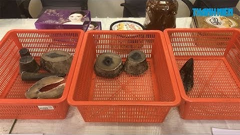 Cận cảnh 4 kg sừng tê giác châu Phi được vận chuyển qua sân bay