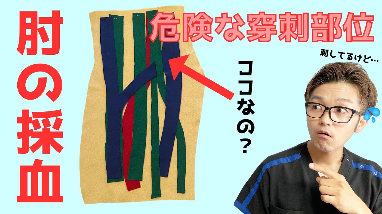 【採血のコツ】肘周囲の静脈4つのパターンとその周囲の神経、動脈の走行