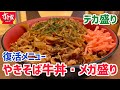 すき家の復活した「やきそば牛丼・メガ盛り」を調査しました【デカ盛りグルメ】