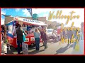 【4K】Walk Wellington Sunday Market 🍊 | New Zealand Go Pro 9