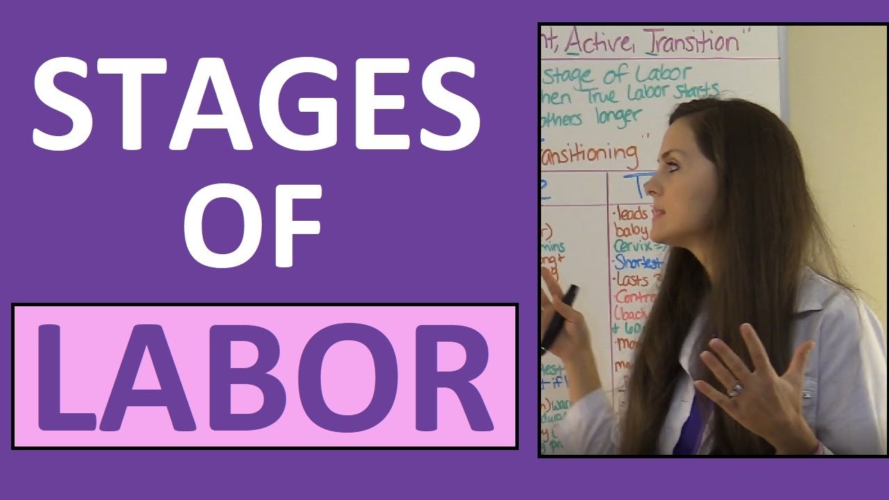 Stages of Labor Nursing OB for Nursing Students | Stages of Labour