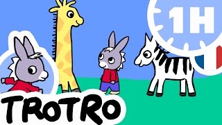 TROTRO - 1 heure - Compilation #01