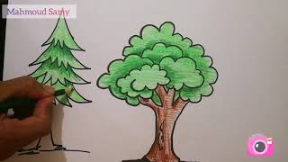 رسم شجرة بسيطة ألوان خشبية / رسم شجرة ٣ طرق مختلفة