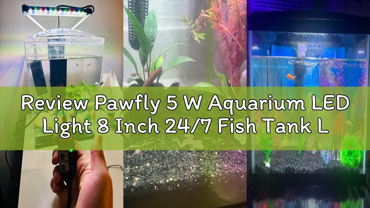 Review Pawfly 5 W Aquarium LED Light 8 Inch 24/7 Fish Tank Light with Full Spectrum Brilliant White