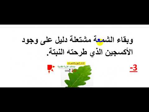 تمارين 8 اساسي اصلاح