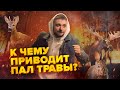 Нужно ли сжигать траву весной? | Причины пожаров | Сортировочная