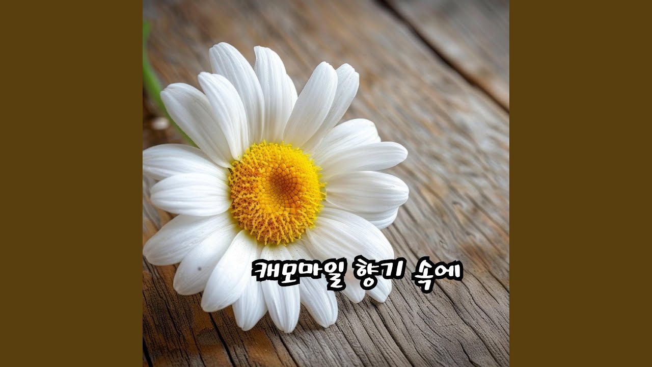 캐모마일 향기 속에