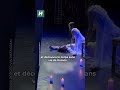 Un chat vole la vedette à Roméo et Juliette