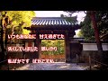 京都ふたたび/多岐川舞子 カラオケカバー